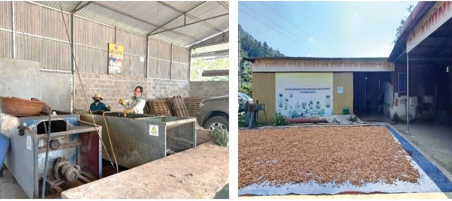 Trạm công nghệ dùng chung: Giải pháp thúc đẩy sản xuất OCOP
