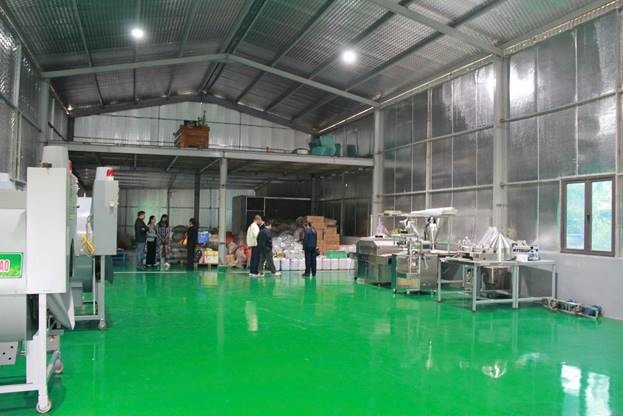 Thái Nguyên khai thác tiềm năng Sâm Bố Chính bằng công nghệ hiện đại