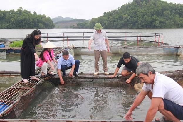 Cá Tầm trên hồ Núi Cốc - Hướng đi mới cho kinh tế mặt nước và du lịch sinh thái tại Thái Nguyên