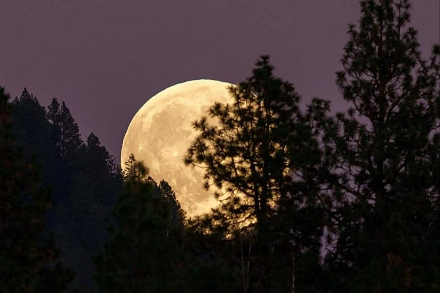 Châu Âu và tham vọng "nền kinh tế Mặt Trăng"