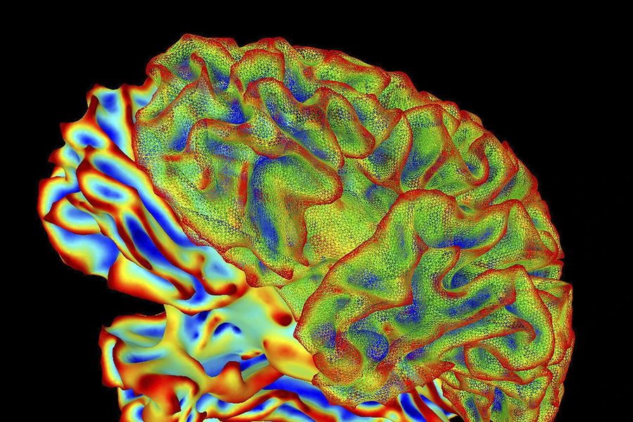 ‏AI giải mã não bộ: Chuyển suy nghĩ thành chữ viết‏