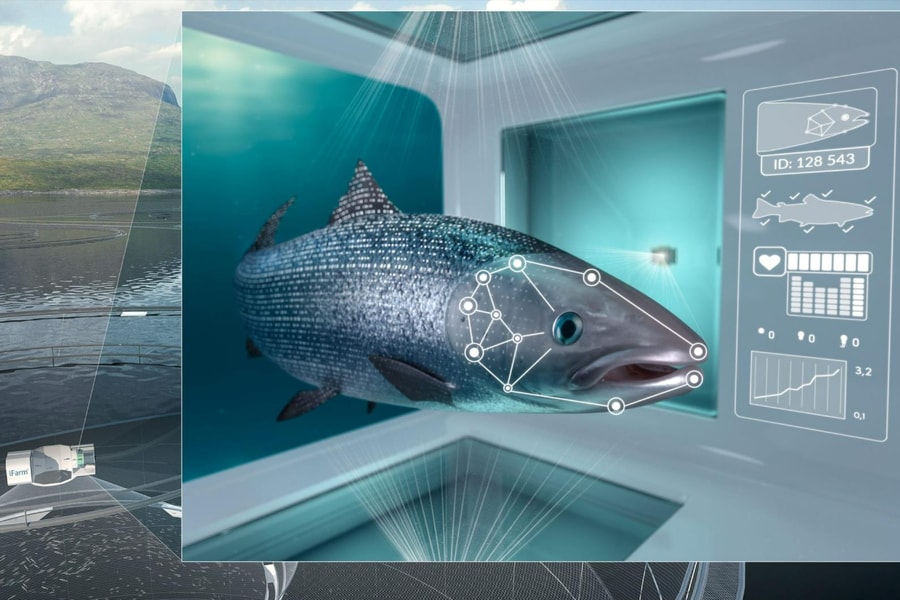 AI thúc đẩy nuôi trồng thủy sản bền vững