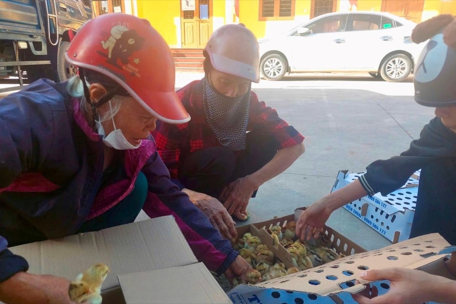 Kha Sơn: Thoát nghèo bền vững từ chăn nuôi gà an toàn sinh học