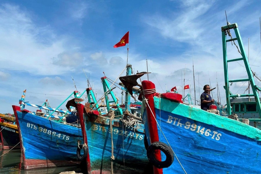 Lâm Đồng: Triển khai hệ thống nhật ký khai thác thuỷ sản hỗ trợ ngư dân