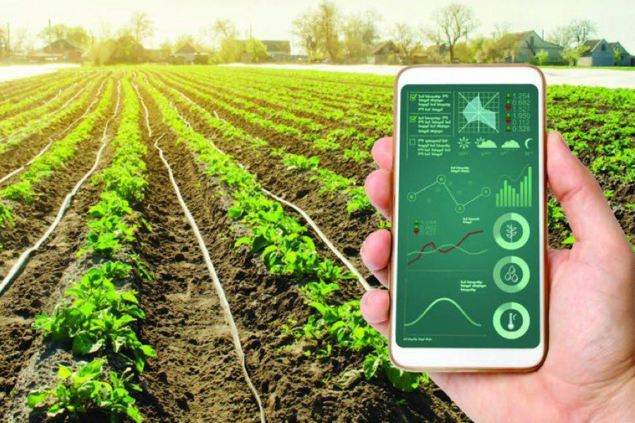 Công nghệ số thúc đẩy giảm nghèo bền vững tại Việt Nam