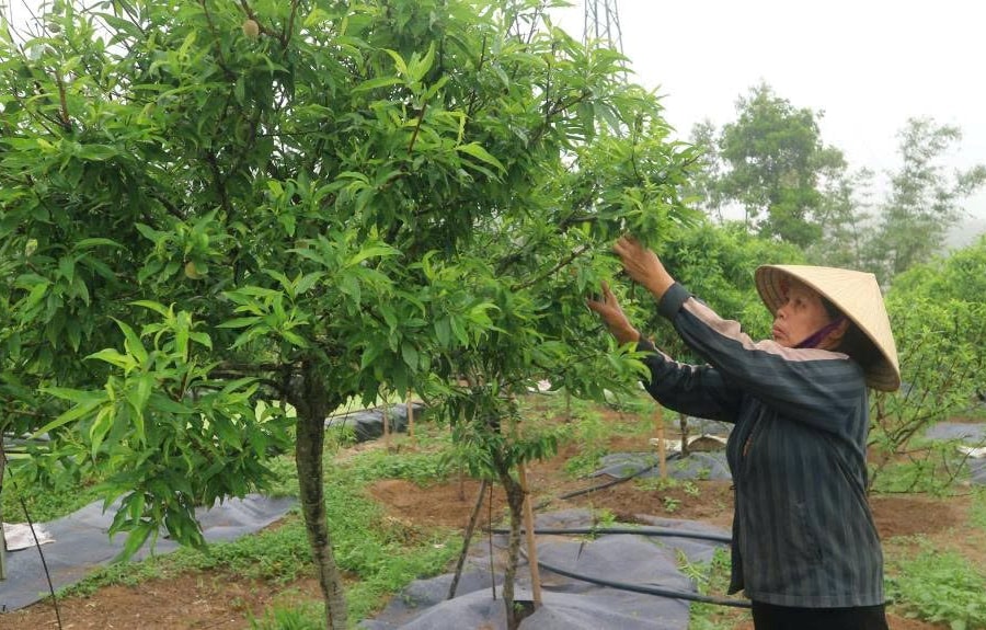 Y Tý giảm trên 7% tỷ lệ hộ nghèo mỗi năm