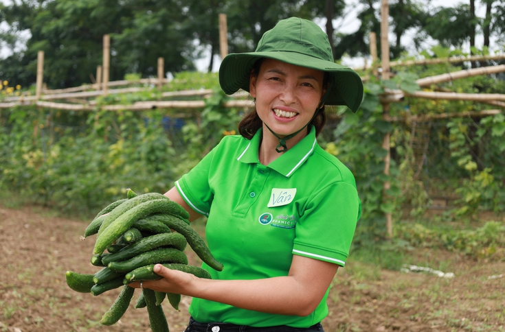 Xã đảo Minh Châu “xanh hóa” môi trường nhờ mô hình của một phụ nữ dám nghĩ, dám làm