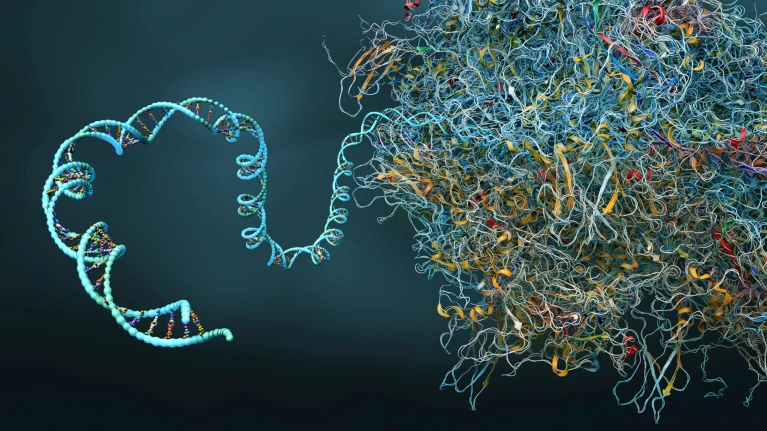 ‏Công cụ chỉnh sửa gen giúp sửa lỗi di truyền gây bệnh‏