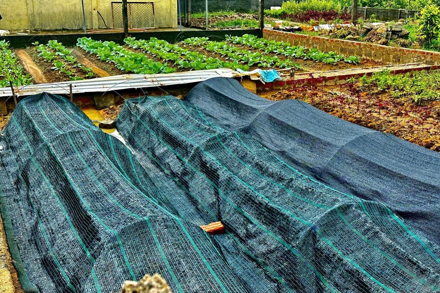 Giảm nghèo, nâng chuẩn nông thôn mới: Bức tranh khởi sắc ở Nghệ An