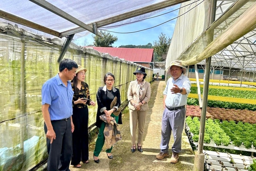 Lâm Đồng xây dựng nông thôn mới gắn với phát triển nông nghiệp công nghệ cao