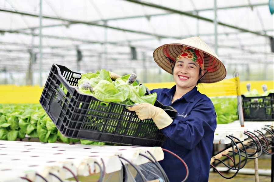 Xử lý rác thải nông thôn: Từ mô hình “3 sạch” đến kinh tế tuần hoàn