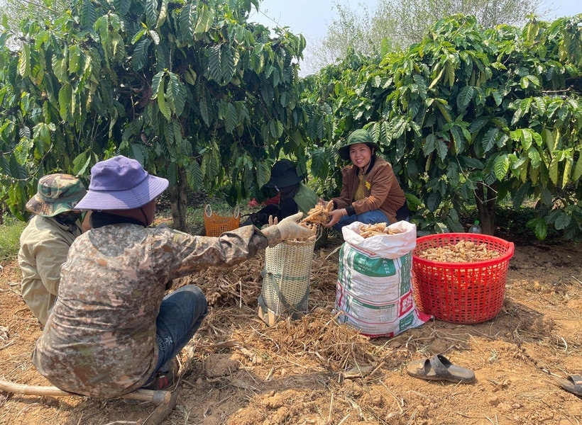 Quảng Ngãi đồng hành với người dân giảm nghèo bền vững