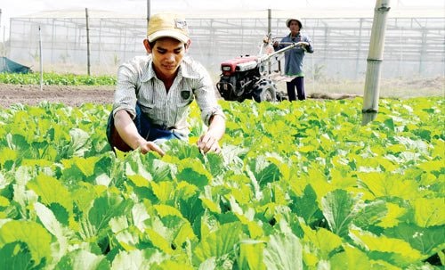 Nhân lực - Chìa khóa mở đường cho nông thôn bền vững