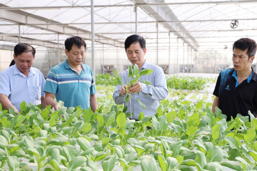 ‏Vai trò của khoa học và công nghệ trong giám sát và phản biện xã hội về xây dựng nông thôn mới‏