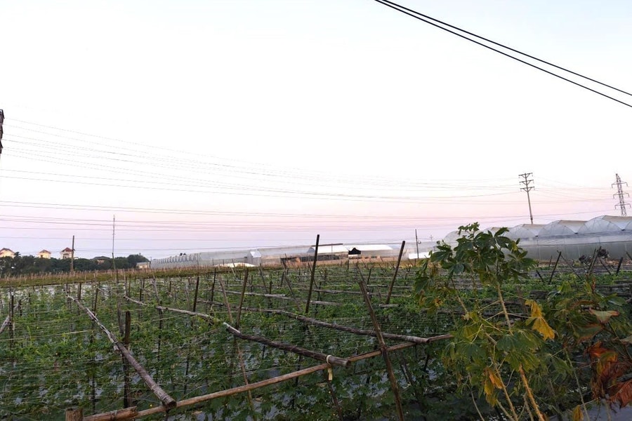 Điện Biên quyết tâm trong hành trình giảm nghèo