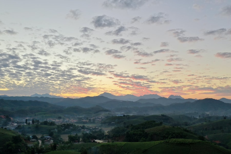 Phát triển chè Long Cốc: Mô hình kinh tế xanh giúp người dân đổi đời