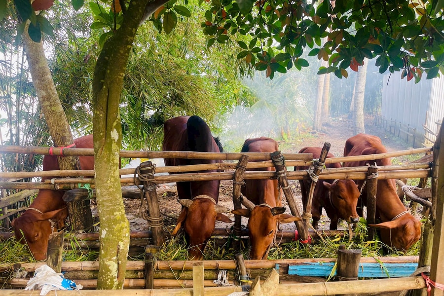 An Giang: Nâng cao chất lượng cuộc sống người dân