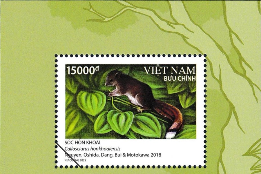 Phát hành bộ tem “Sóc” được ghi nhận trong Sách Đỏ Việt Nam