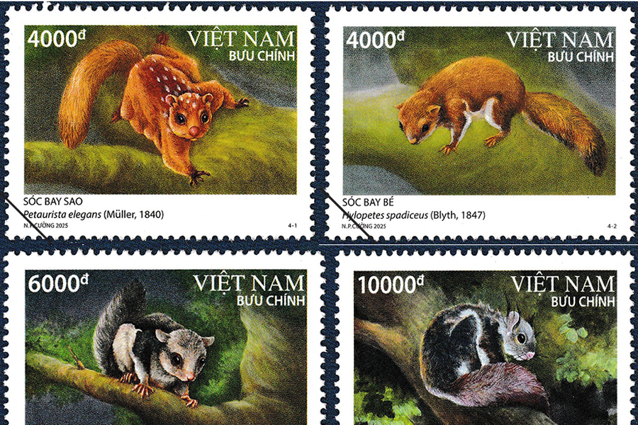 Issuance of "Squirrel" stamp set featuring species listed in Vietnam's red book