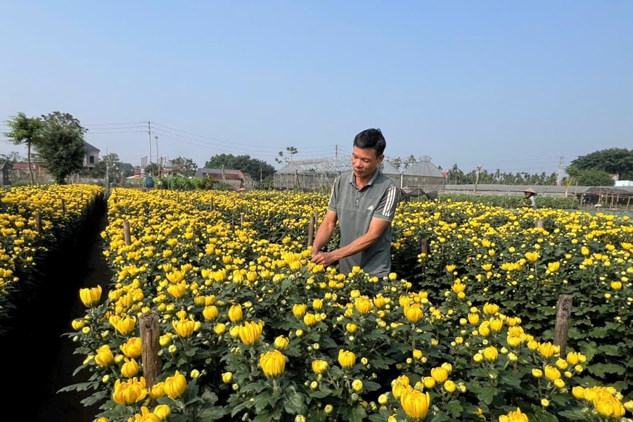 Khi khoa học công nghệ “nở hoa” trên mảnh đất quê hương