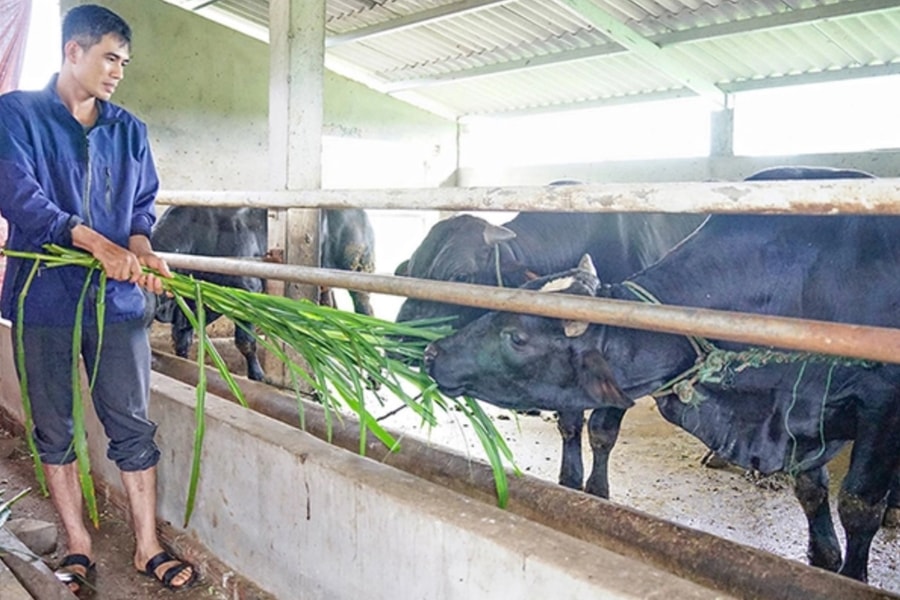 Nhiều kết quả nổi bật trong thực hiện ba Chương trình MTQG tại Thanh Hóa giai đoạn 2021 - 2025