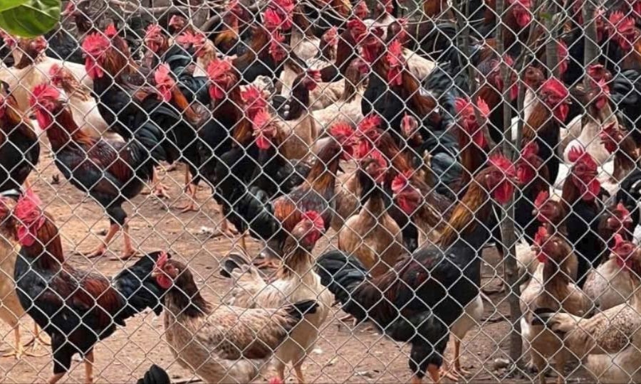 Giảm nghèo bền vững vùng Bắc Trung Bộ - từ tư duy đến hành động thực tiễn