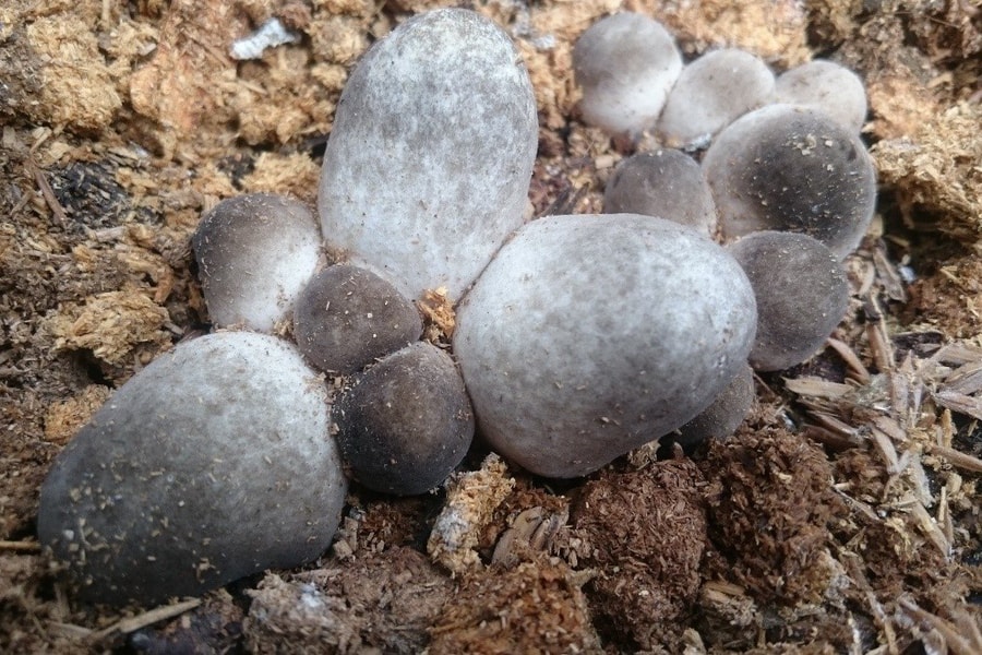 Tây Nam Bộ đột phá trong giảm nghèo đa chiều