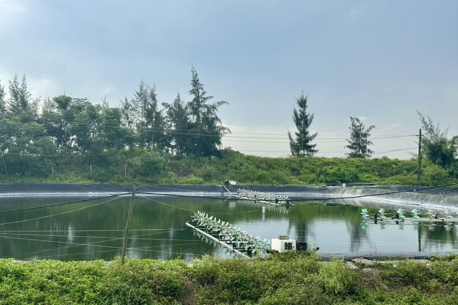 Thanh Hóa tiếp tục mở rộng mô hình khuyến nông