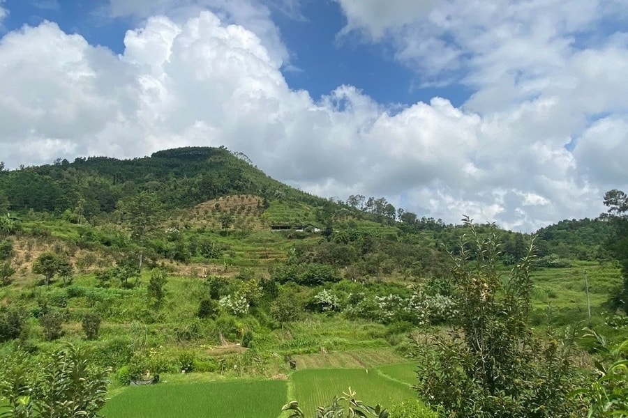 Nhà màng ở Cao Bằng - giải pháp giảm nghèo đa chiều cho vùng cao