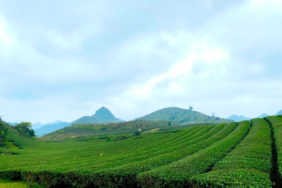 Nông thôn Mường É khởi sắc sau sáp nhập