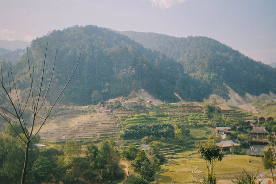 Xã Phong Thổ (Lai Châu) đa dạng sinh kế thoát nghèo bền vững