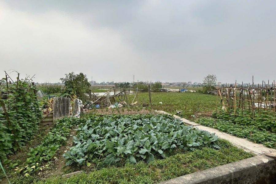 Hưng Yên thúc đẩy ứng dụng khoa học kỹ thuật nâng cao đời sống người dân nông thôn