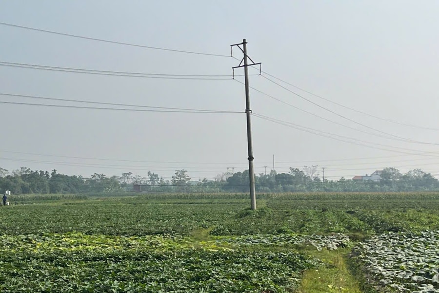 Tuyên Quang: Động lực mới cho xây dựng nông thôn mới xanh, bền vững