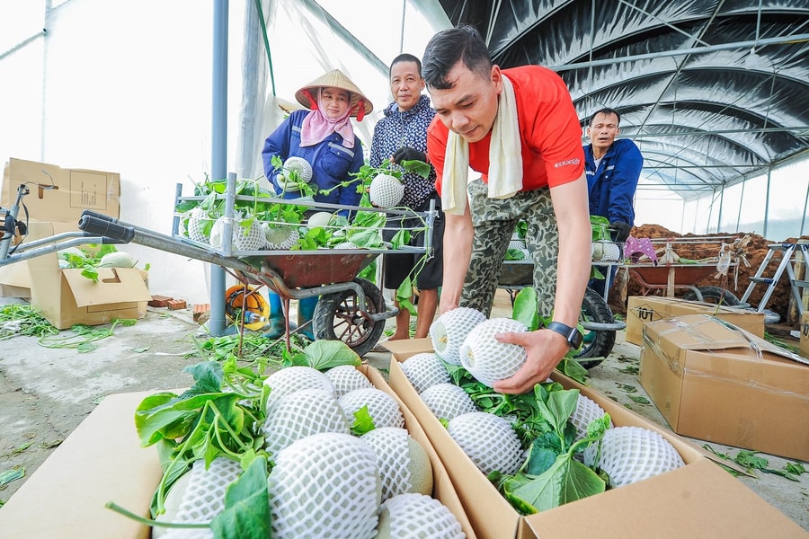 Xã Trường Tân bứt phá với nông nghiệp công nghệ cao