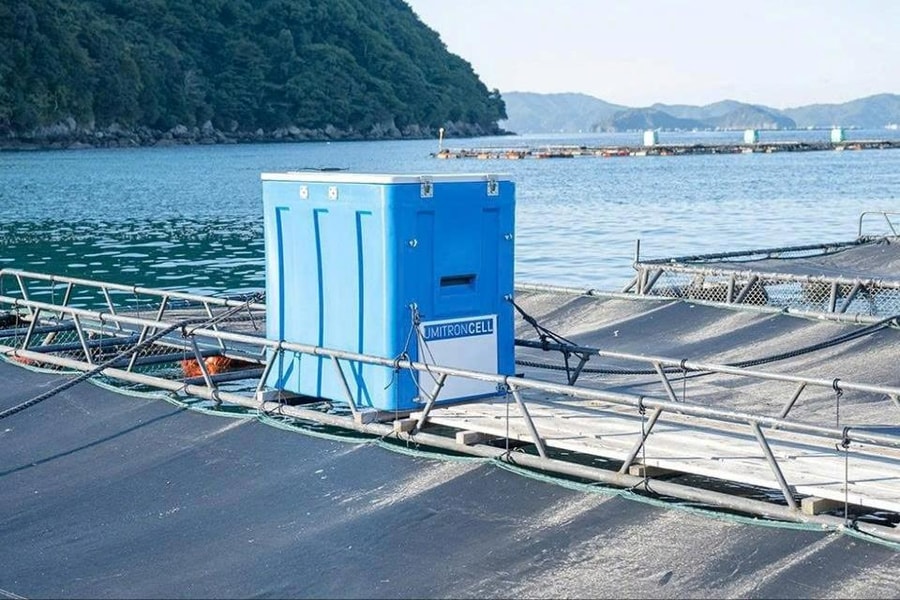 Máy cho cá ăn tự động bằng AI: Bước tiến trong nuôi trồng thuỷ sản bền vững