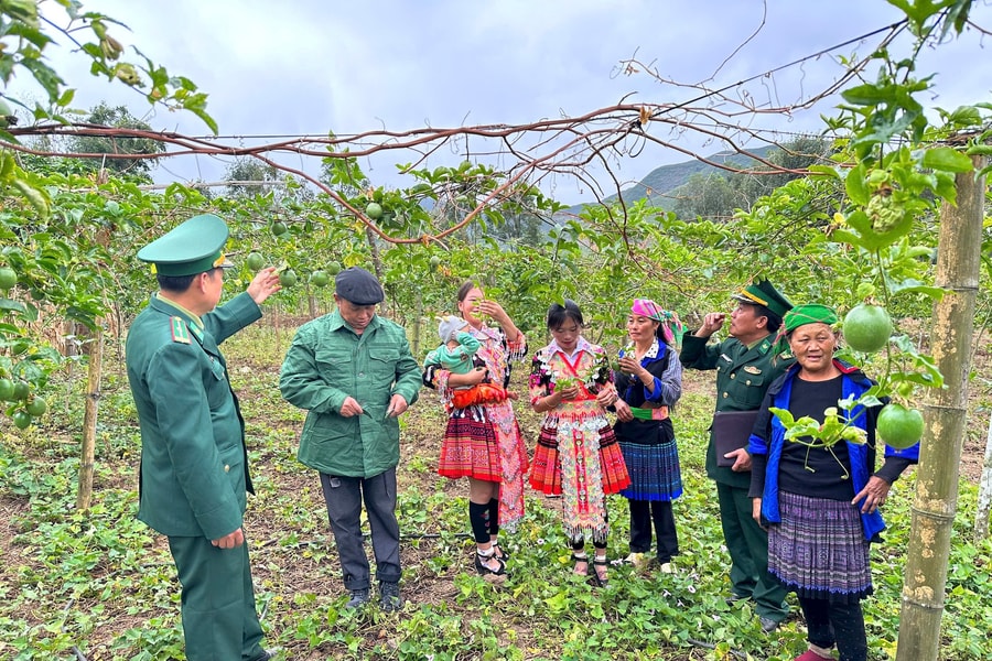 Chuyển đổi mô hình sản xuất: Hướng đi then chốt trong giảm nghèo đa chiều