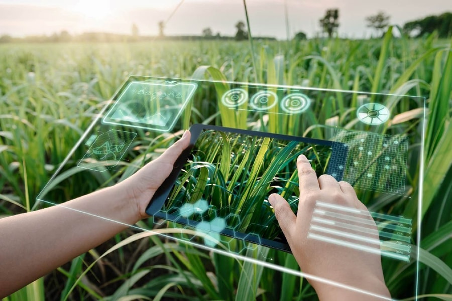 Trí tuệ nhân tạo: Động lực mới cho sự phát triển bền vững của nông nghiệp và nông thôn