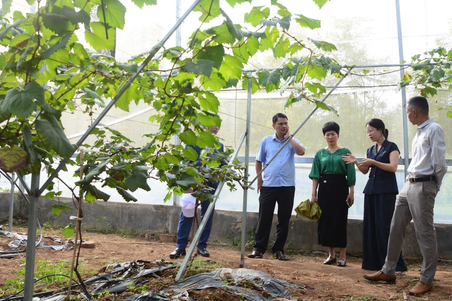 Đưa khoa học về với ruộng vườn: Những mô hình ứng dụng công nghệ tại Quảng Ngãi