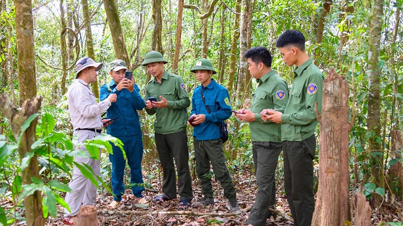Chuyển đổi số - Động lực nâng cao hiệu quả quản lý và phát triển bền vững ngành lâm nghiệp