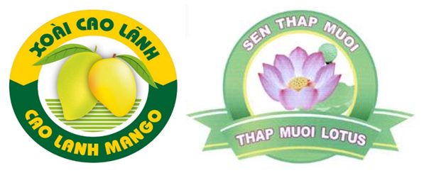 Khoa học, công nghệ và đổi mới sáng tạo - động lực phát triển bền vững khu vực hợp tác xã