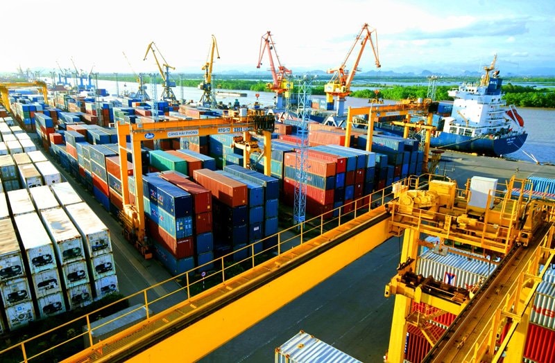 Chuỗi giá trị tép moi mở hướng đi bền vững cho ngư dân ven biển