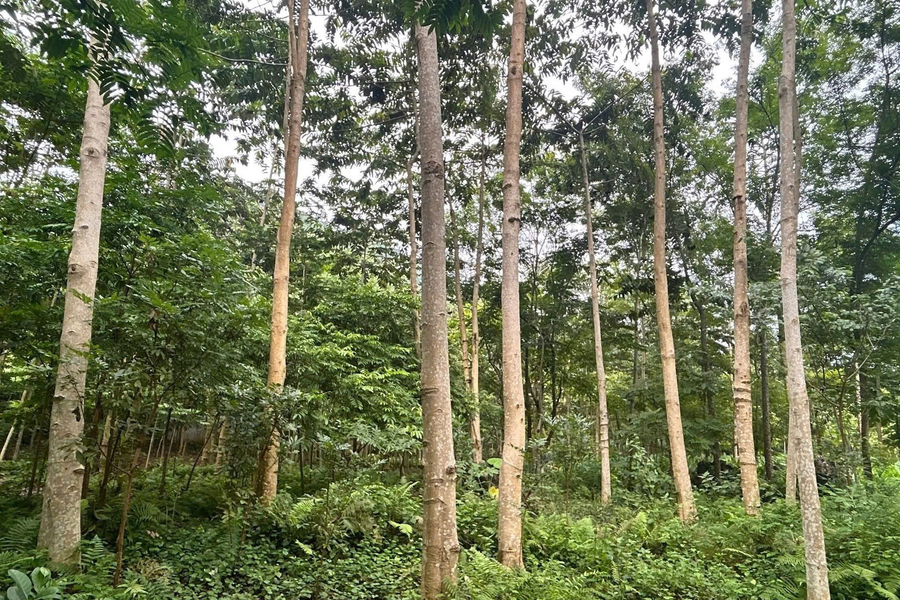 Cao Bằng đặt mục tiêu giảm trên 3% hộ nghèo đa chiều mỗi năm