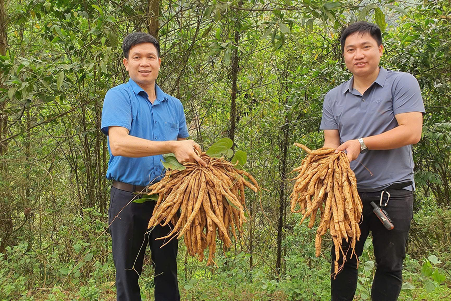 Khoa học và công nghệ - Chìa khóa giảm nghèo bền vững ở Điện Biên
