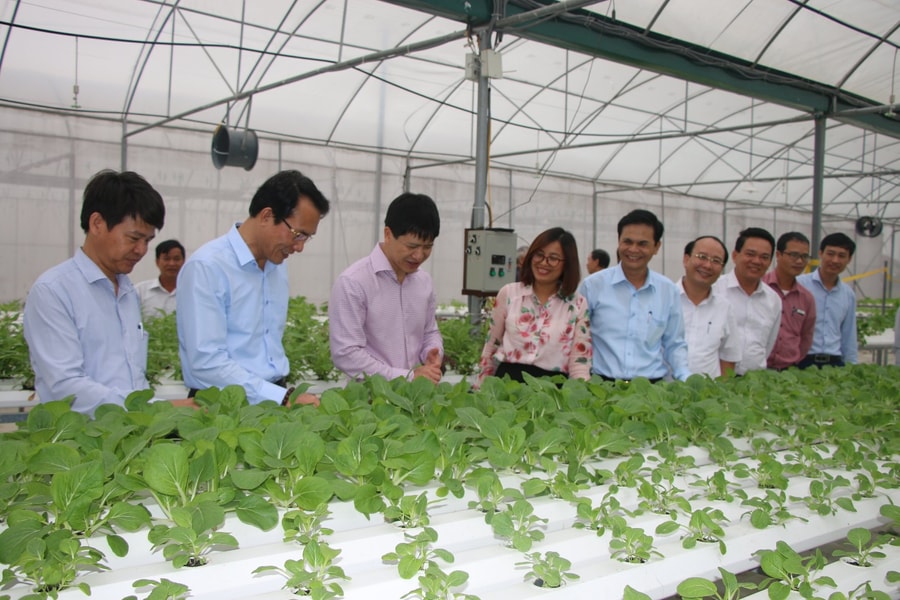 Phát triển vùng nguyên liệu nâng cao giá trị sản phẩm OCOP