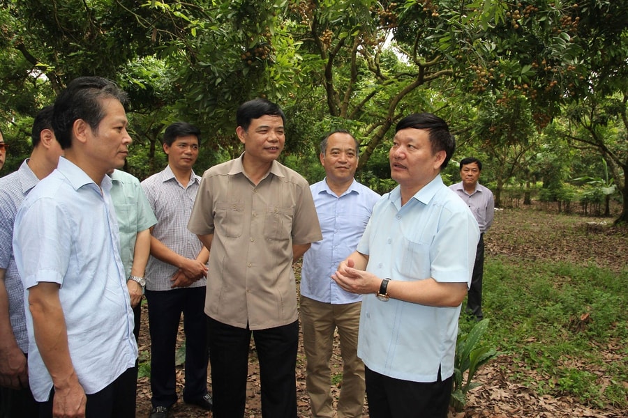 Phát huy vai trò khoa học và công nghệ trong xây dựng nông thôn mới bền vững tại Ninh Bình