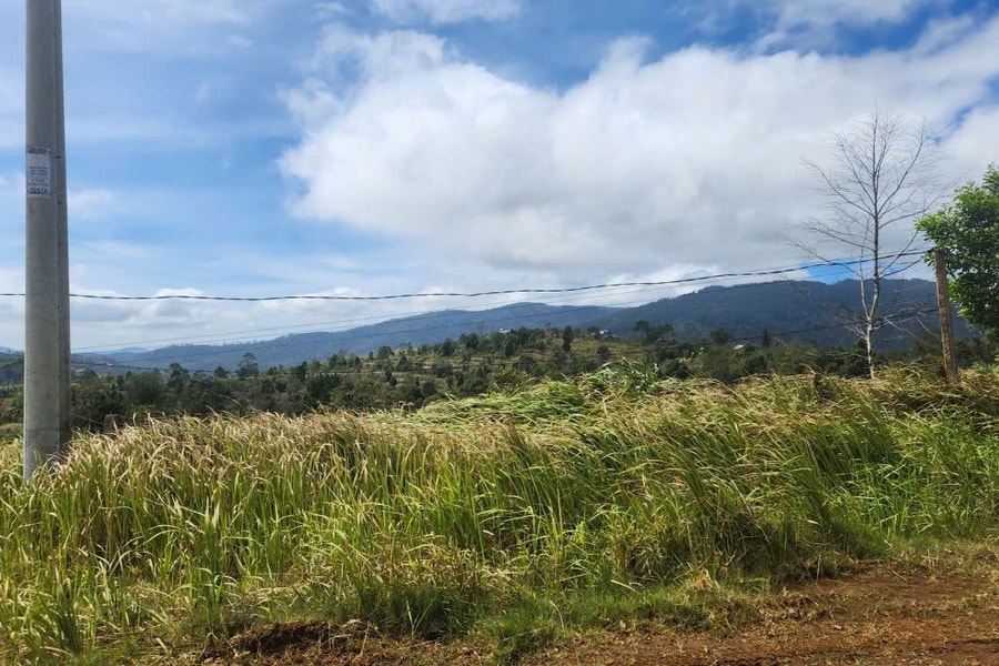 Nông thôn giai đoạn 2026 - 2030: Chuyển từ "đạt chuẩn" sang "bền vững và hạnh phúc"