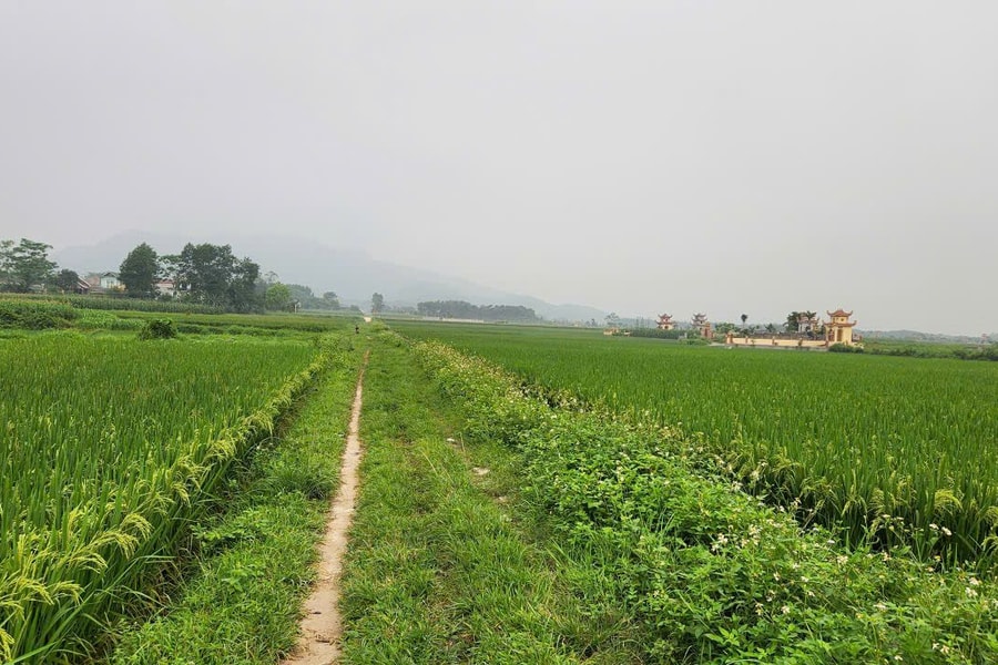 Hạ tầng nông thôn mới 2025: Hiện đại hóa gắn với bản sắc