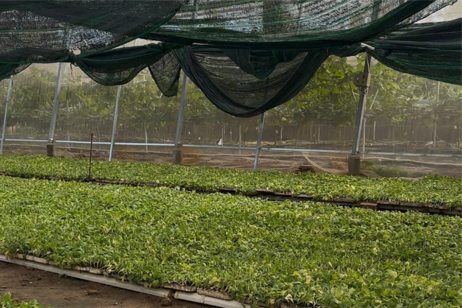 Khoa học và Công nghệ - hạt nhân bứt phá phát triển, xóa đói giảm nghèo