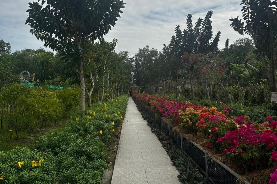 An Giang: Hợp tác xã là nền tảng phát triển nông thôn mới