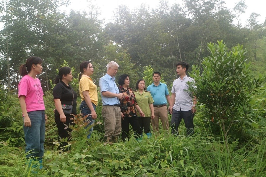 Ứng dụng khoa học công nghệ mở hướng phát triển bền vững cây mắc ca tại Cao Bằng